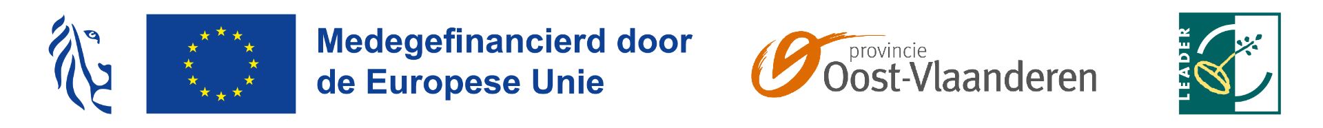 Logobanner_Leader_EU_leeuw_en_provincie_OOST_VL.jpg